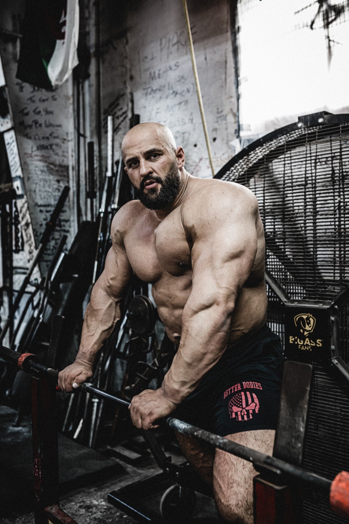Better Bodies Skull Function Shorts